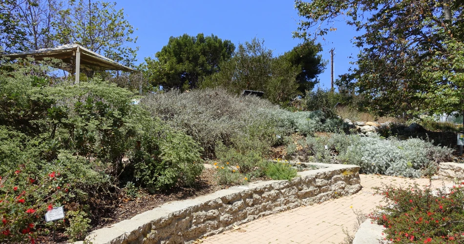 Manhattan Beach, CA Centro – Todo lo que Necesitas Saber