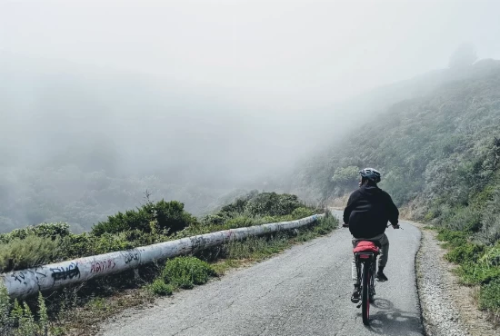Beyond the Shore: Memorable Road Trips from Manhattan Beach, CA